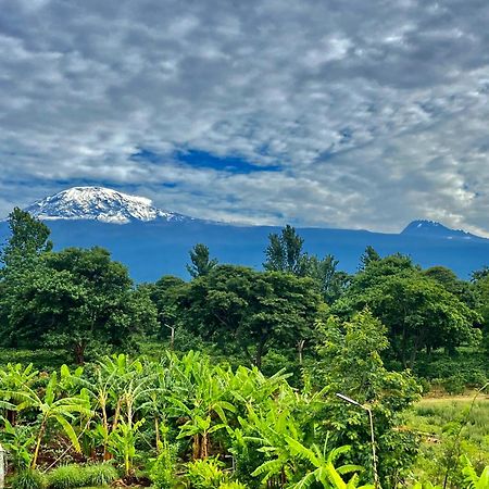 Mount Kilimanjaro 360 View Cottage Uru Ngoại thất bức ảnh
