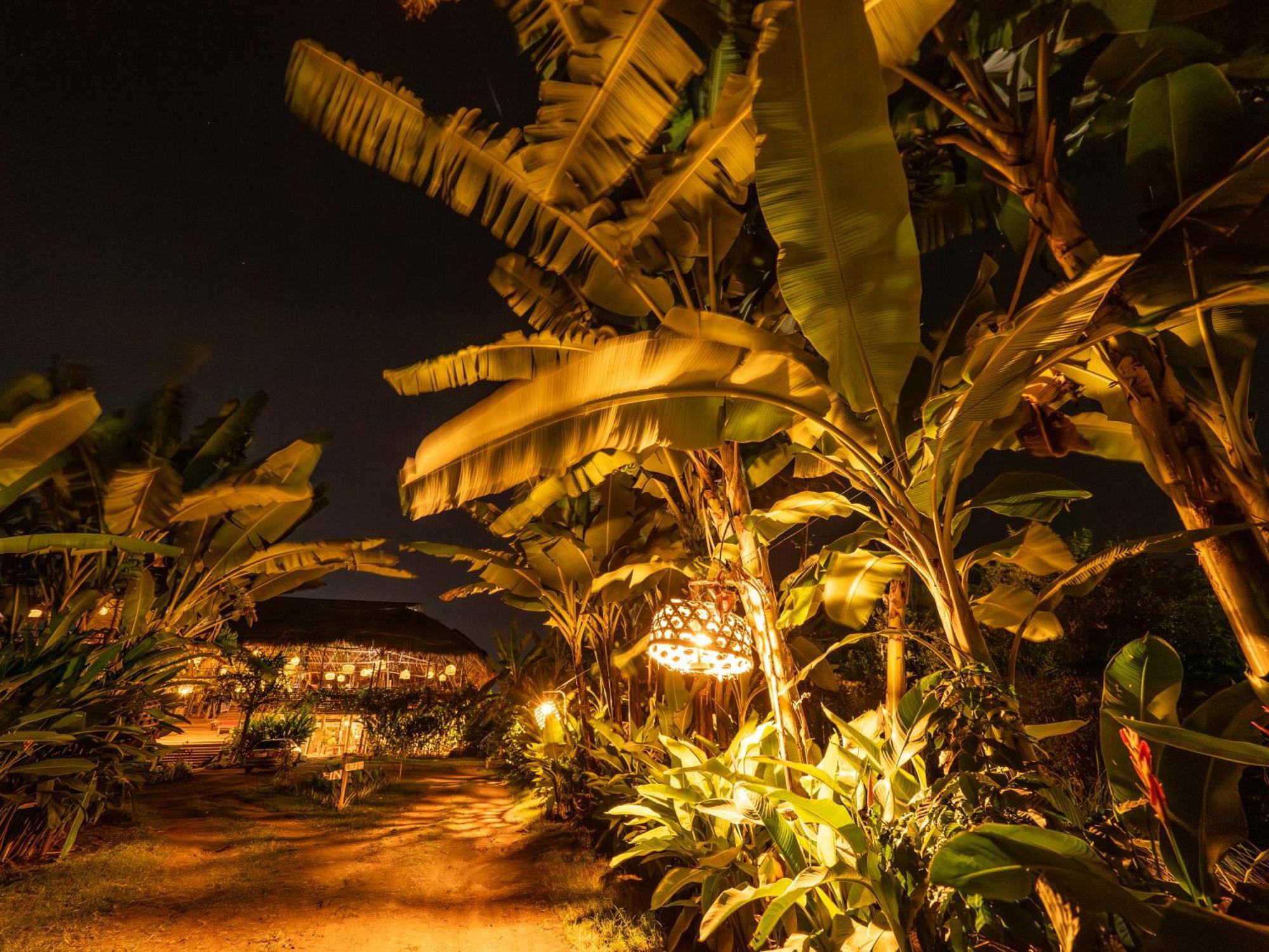 Mount Kilimanjaro 360 View Cottage Uru Ngoại thất bức ảnh