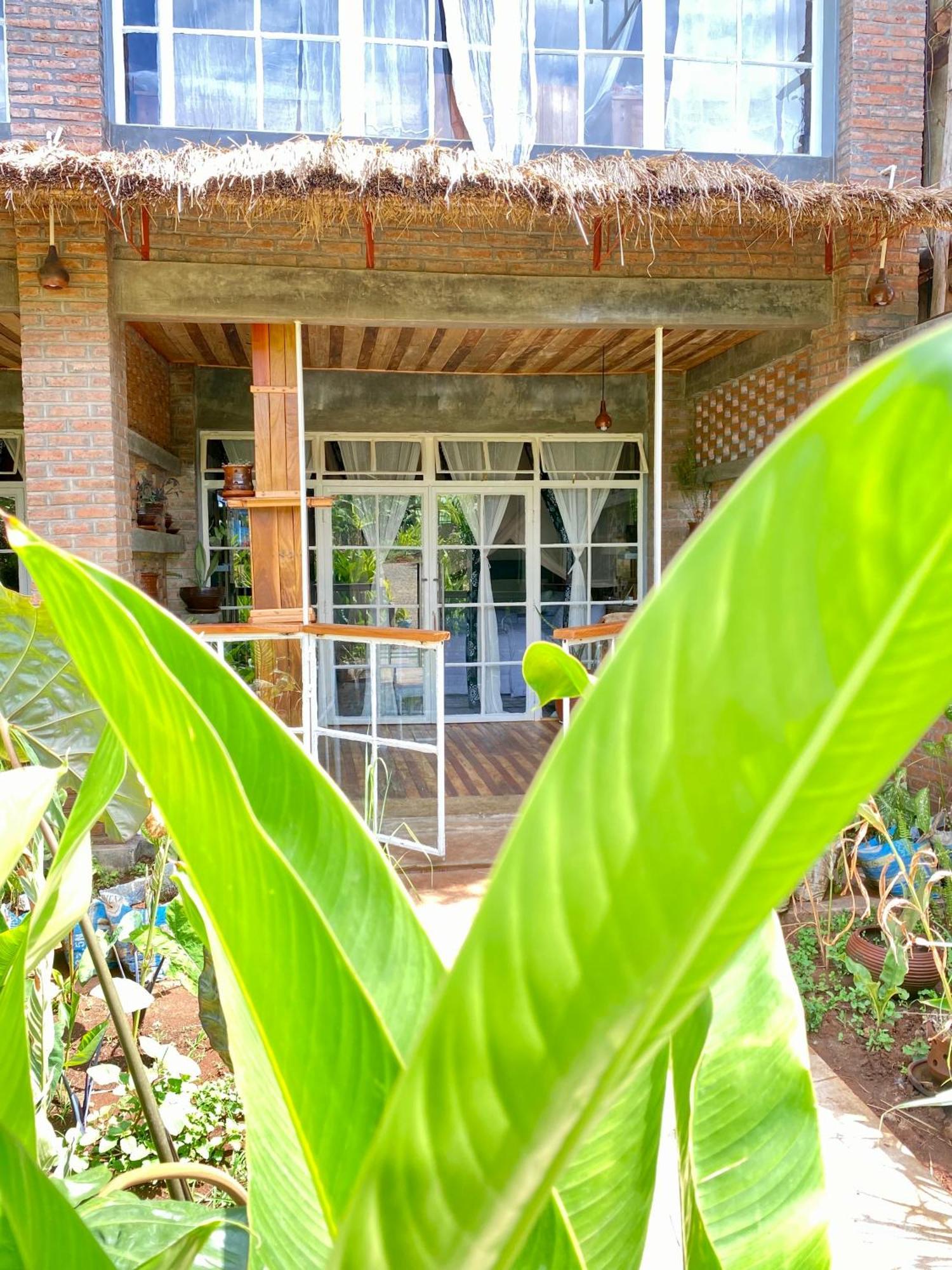 Mount Kilimanjaro 360 View Cottage Uru Ngoại thất bức ảnh