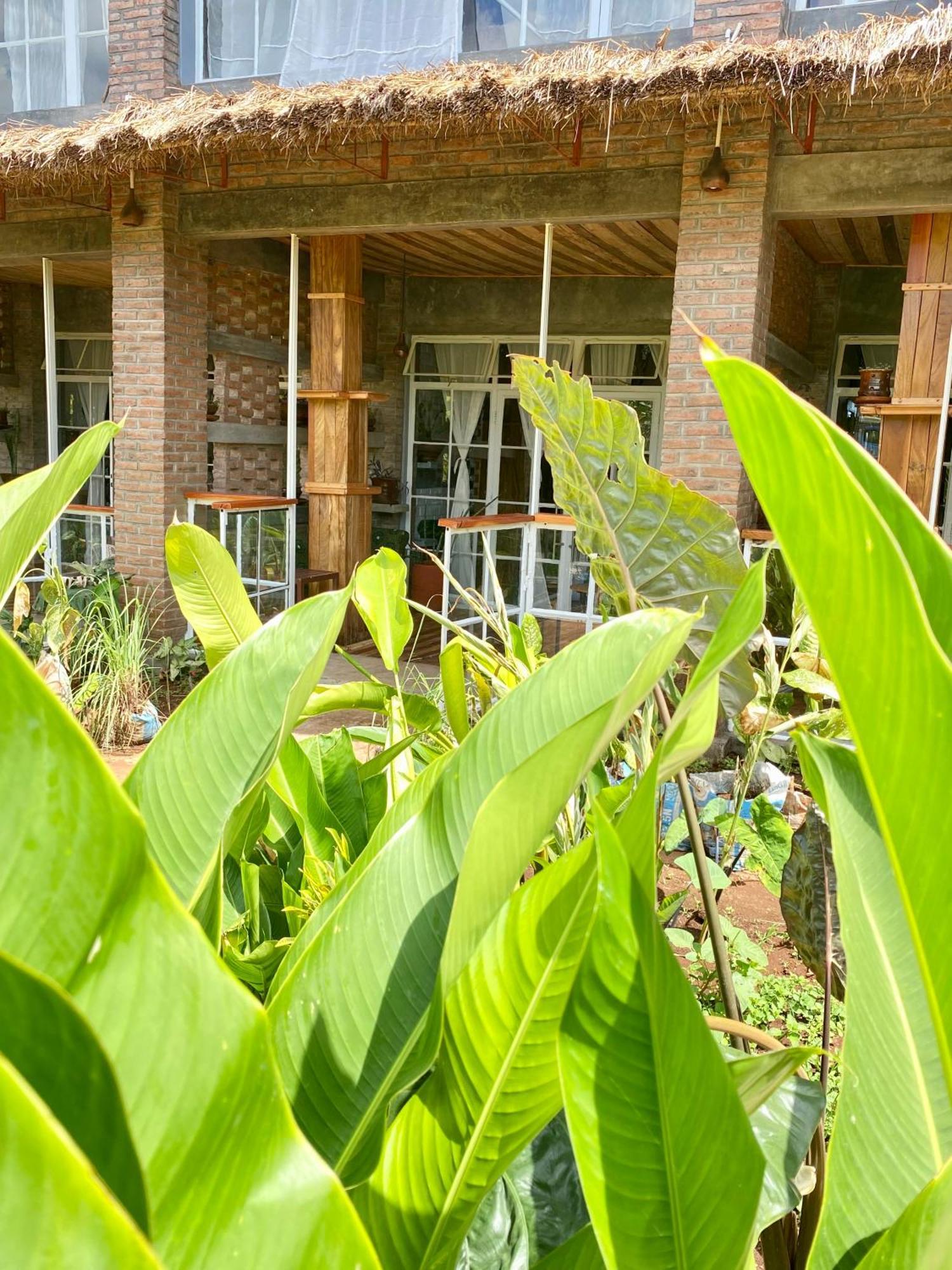 Mount Kilimanjaro 360 View Cottage Uru Ngoại thất bức ảnh