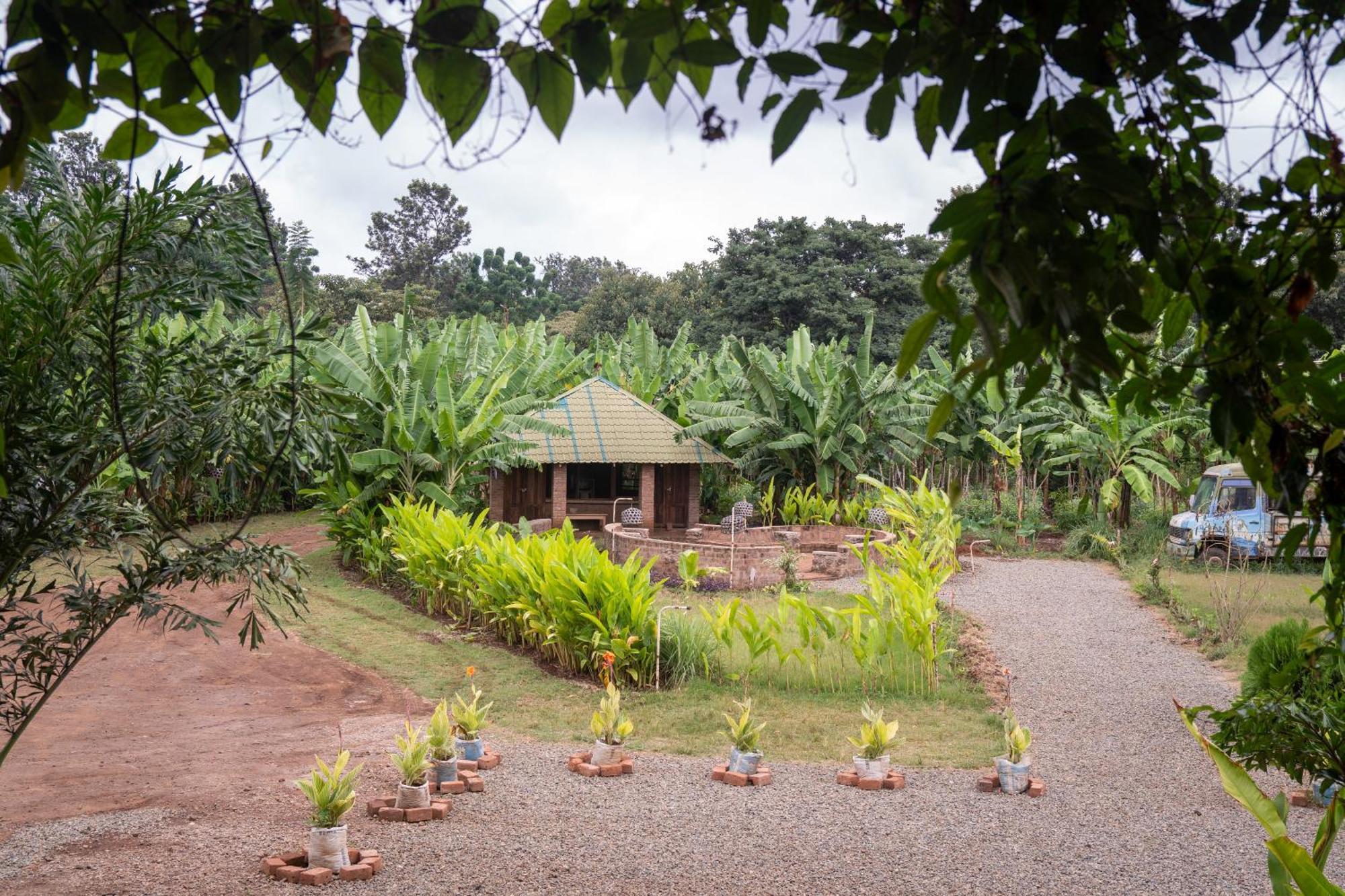 Mount Kilimanjaro 360 View Cottage Uru Ngoại thất bức ảnh