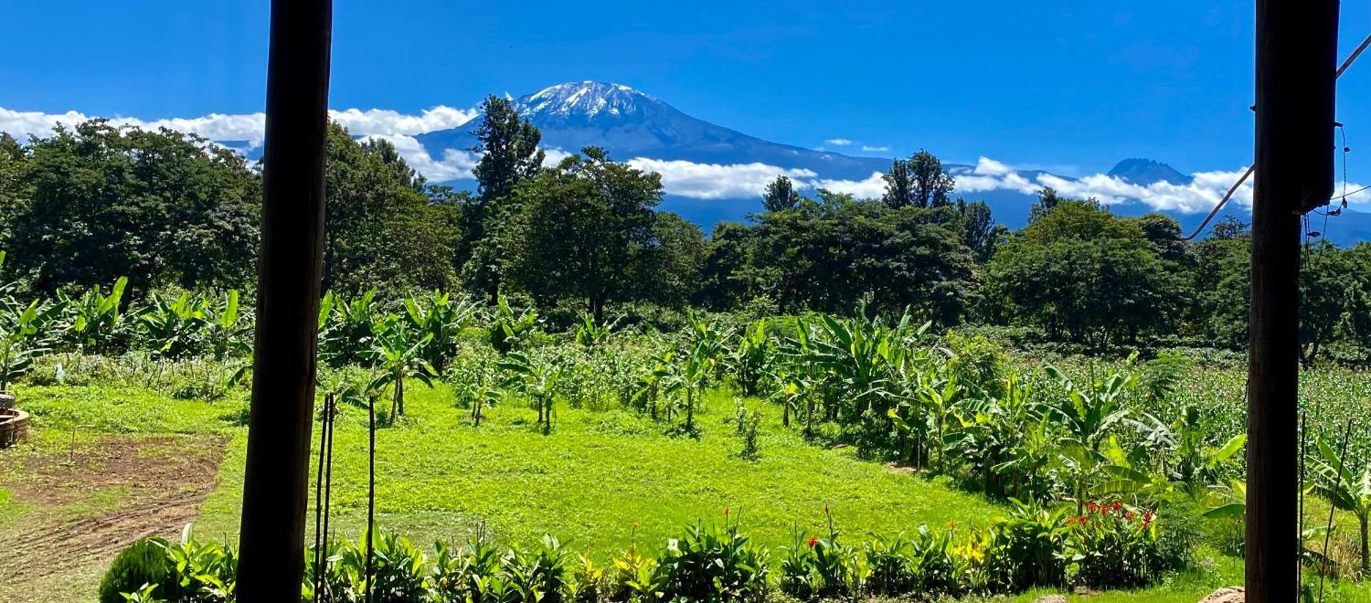 Mount Kilimanjaro 360 View Cottage Uru Ngoại thất bức ảnh