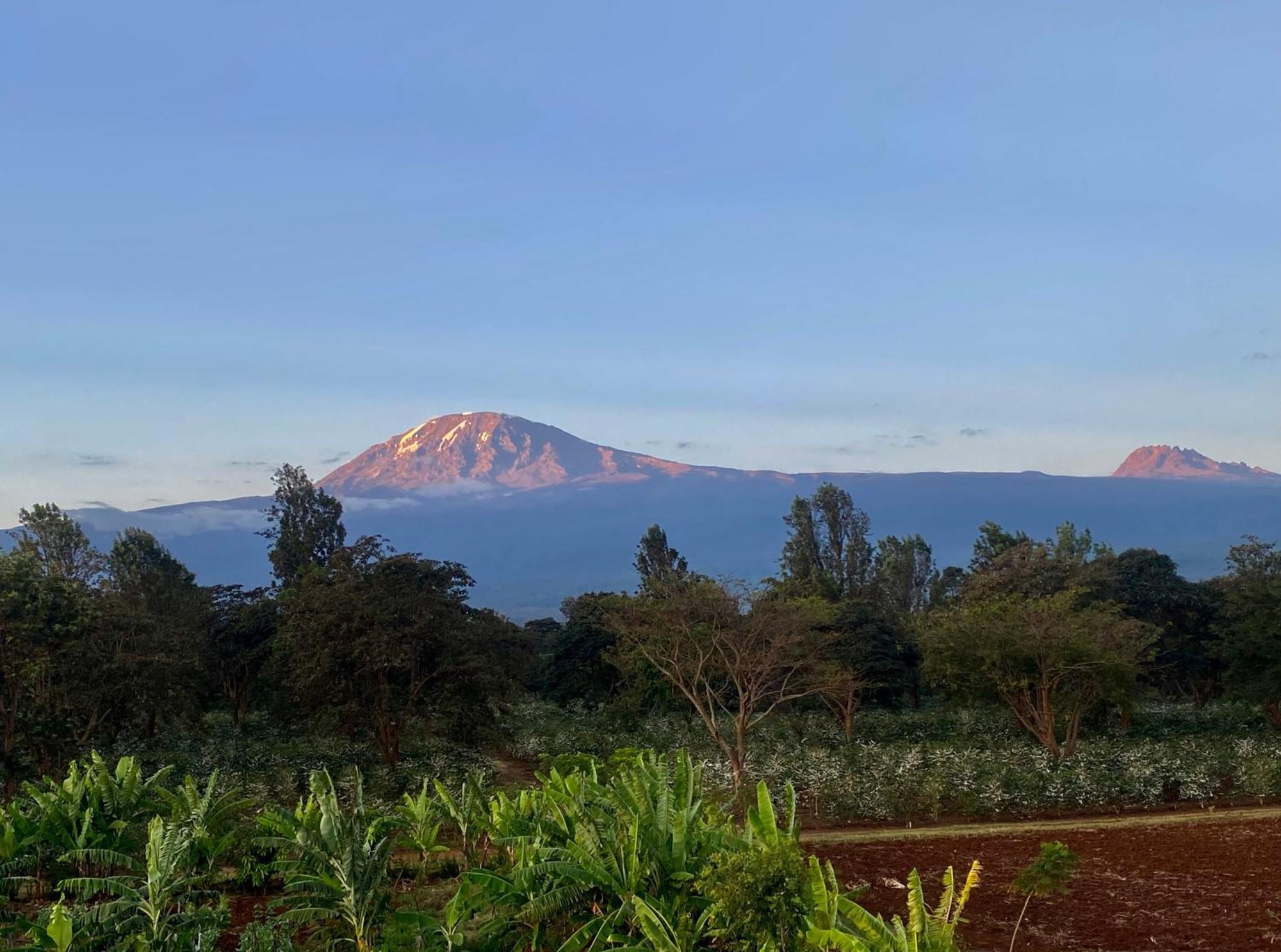 Mount Kilimanjaro 360 View Cottage Uru Ngoại thất bức ảnh