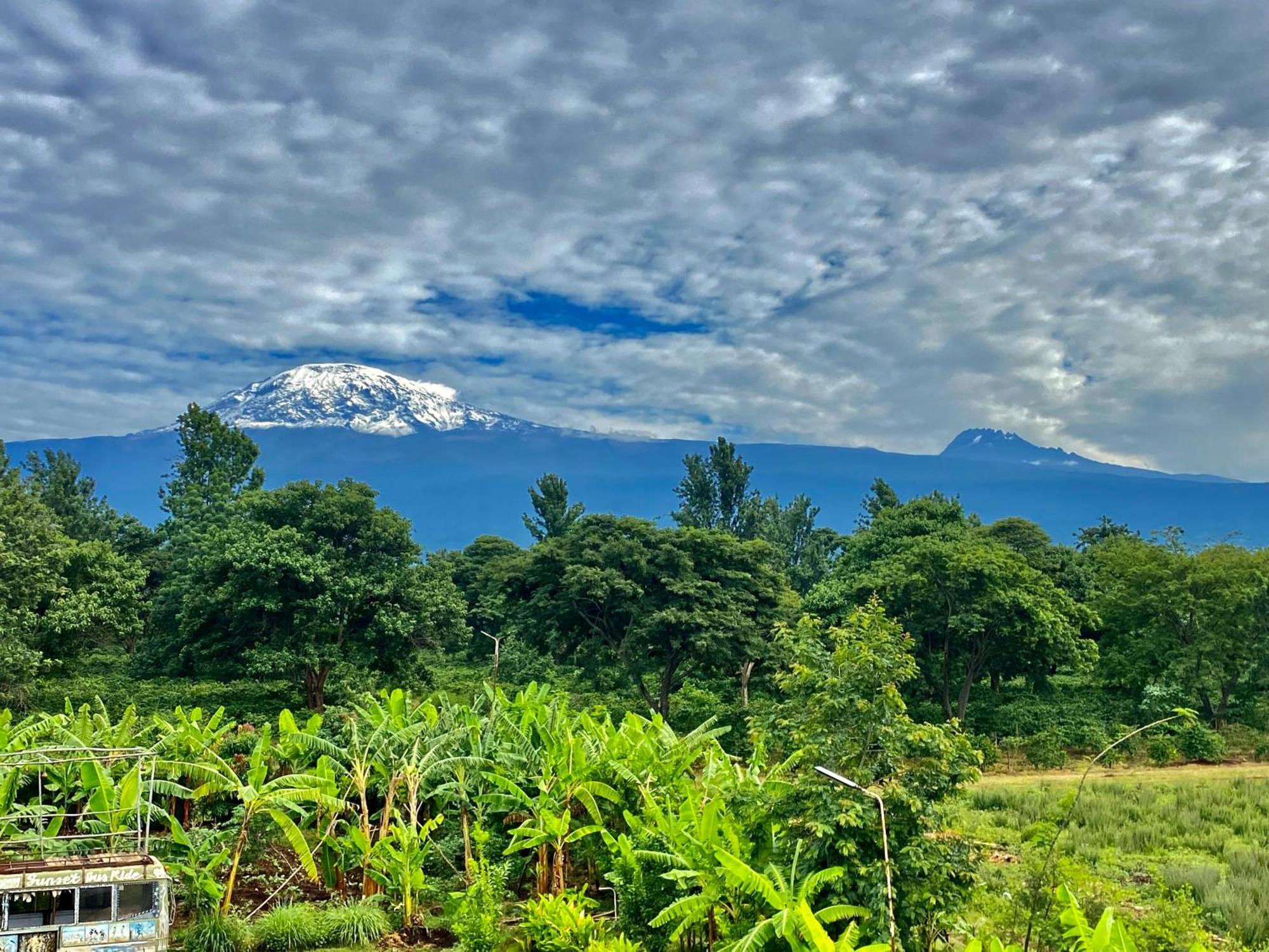 Mount Kilimanjaro 360 View Cottage Uru Ngoại thất bức ảnh