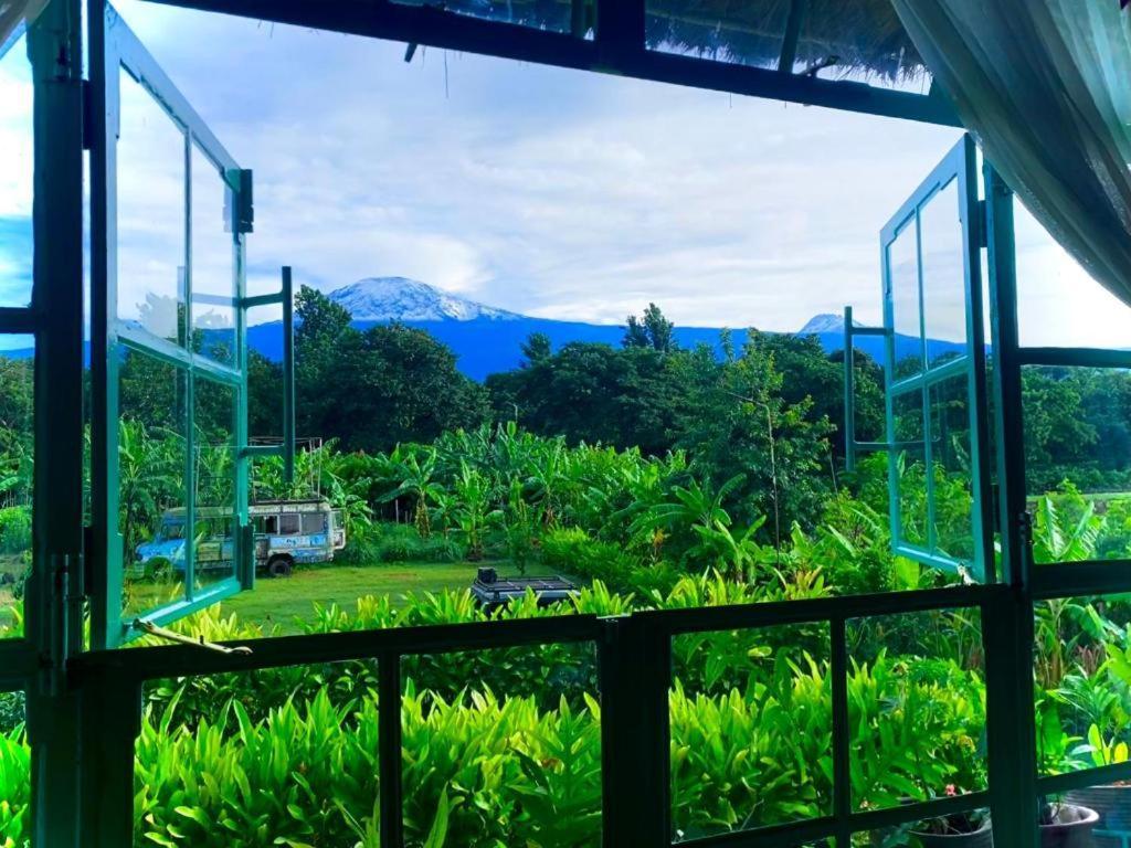Mount Kilimanjaro 360 View Cottage Uru Ngoại thất bức ảnh